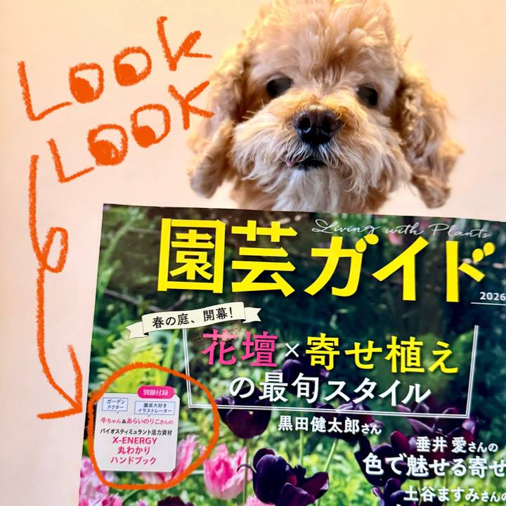 7b2b4712 dfe3 4b9f aa45 03d65c2c2178 1772937836418