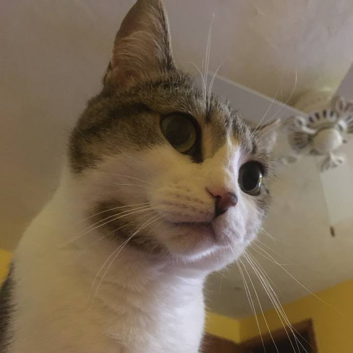 7b2b50c2 69a2 4a58 9f3c 6aa8fea03c14 1617839460424