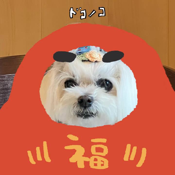 7b2b9abb 8475 44a7 8e50 e7372ab9bb59 1771845715709