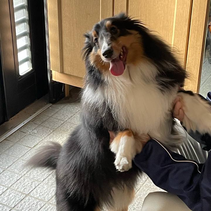 7b2bc9da ed9c 4924 95e3 3b9699e3f66d 1618351281695