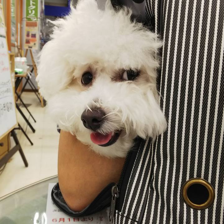 7b2bd3ea c0db 47a2 aed4 4a43ade6a0e6 1525146992095