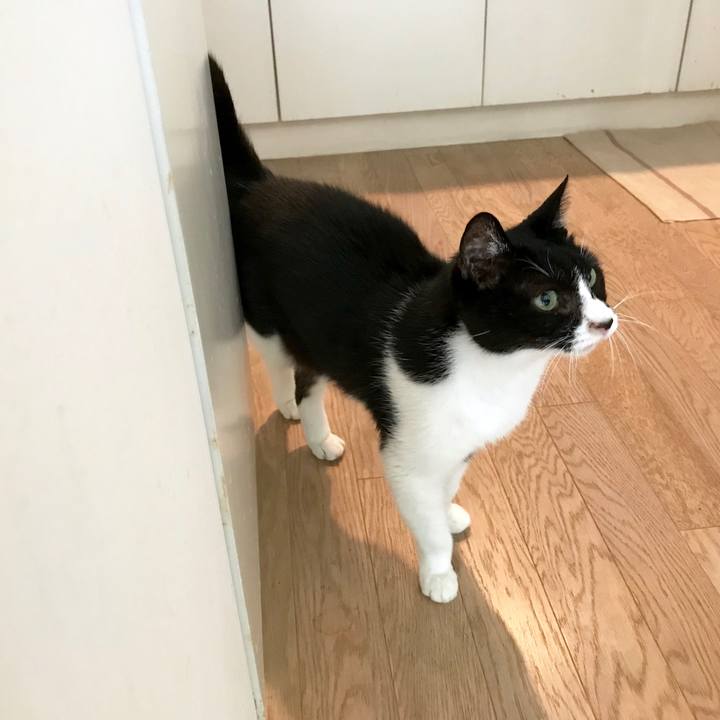 7b2be781 4905 4bea 8323 23c5b13be74f 1556151344929