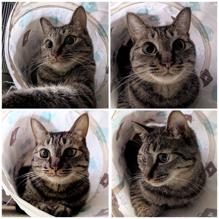 7b2c3a59 649b 4c24 b0ff 47cf6c3c0c65 1772087196599