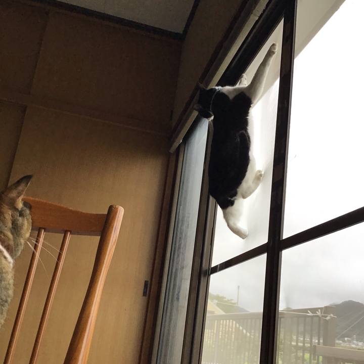 7b2c46b7 6aff 49a8 a6ca 727c51c409c2 1662071487417