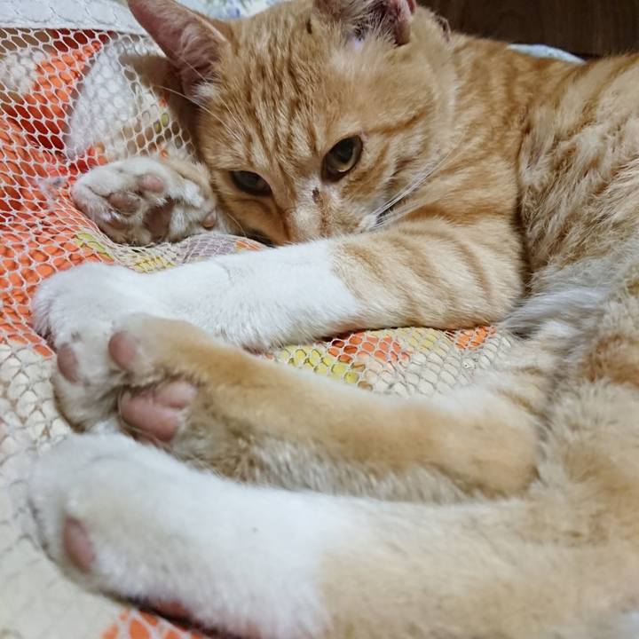 7b2c5a8c 21ae 4274 ac77 49bd7537ba6b 1562588491230