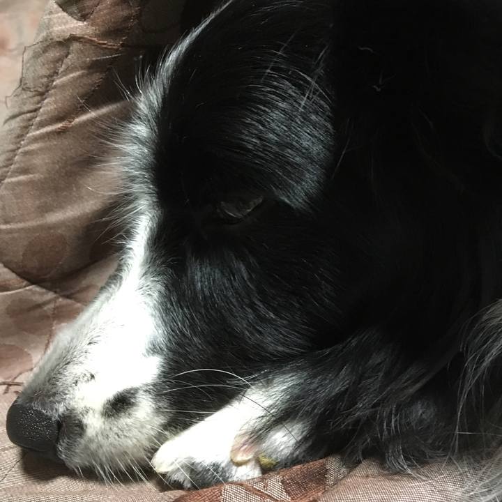 7b2c8797 aece 4fbb b9e0 779ea35167d6 1509257768256