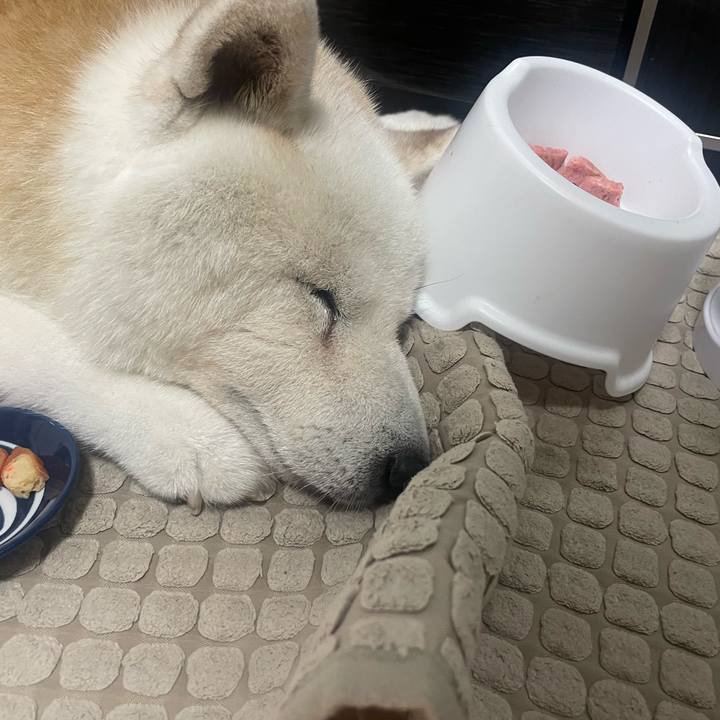 7b2ca718 2346 4e4c b9b3 4d4269471ec3 1759757964682