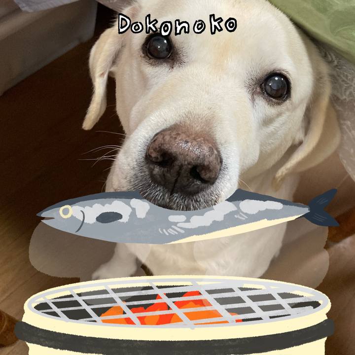 7b2cb8af 198c 45c6 8839 3d6cf32371d0 1762094295852