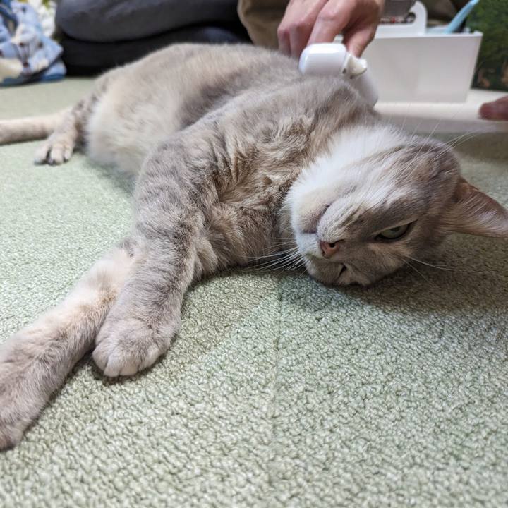 7b2cbb05 0530 4c58 93ac c1dd7e591cb3 1714274384014