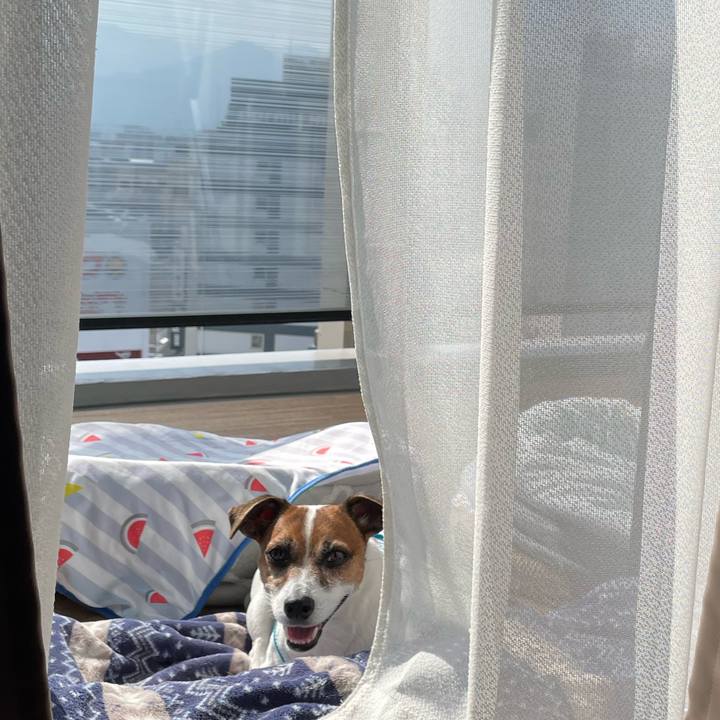 7b2cfb76 4474 4cb1 88a7 ca3a7e89f562 1750461380522