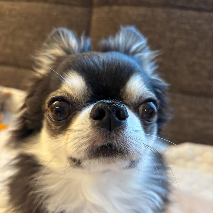 7b2d31b5 6784 489b bd7b 1e7905bcfab1 1745104488070