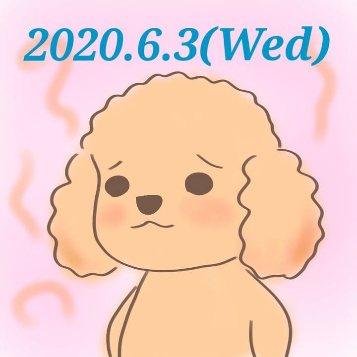 7b2d6c31 d2e6 4f62 8799 a8071c6b5ca1 1591192219744