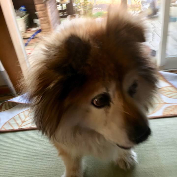 7b2de0e3 7c7b 45c9 ba44 50c4e40eac81 1597306909442