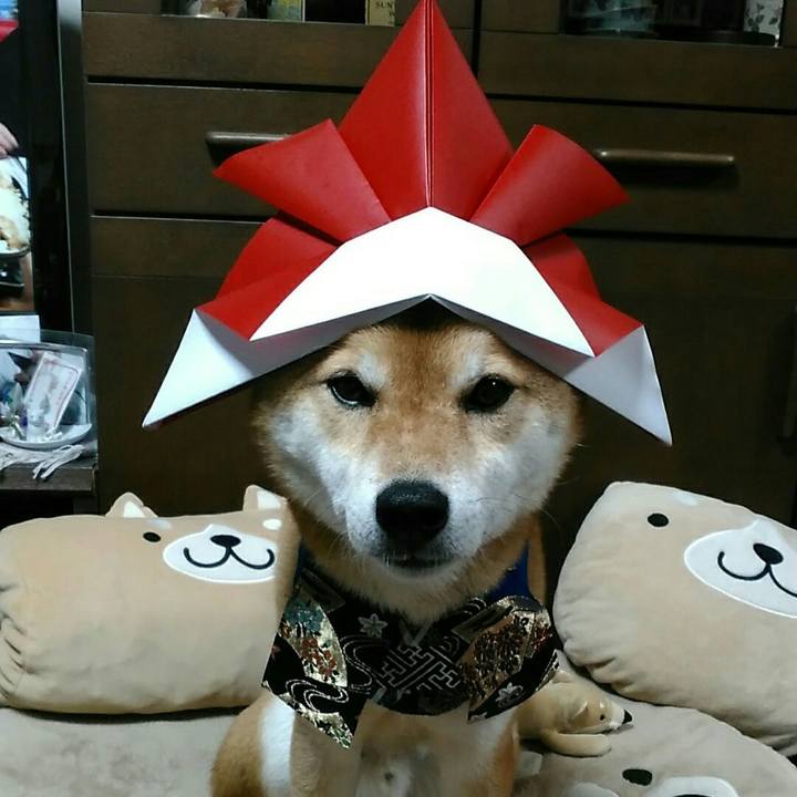 7b2e0d44 b713 4e22 b61f 62691d42db37 1556013949580