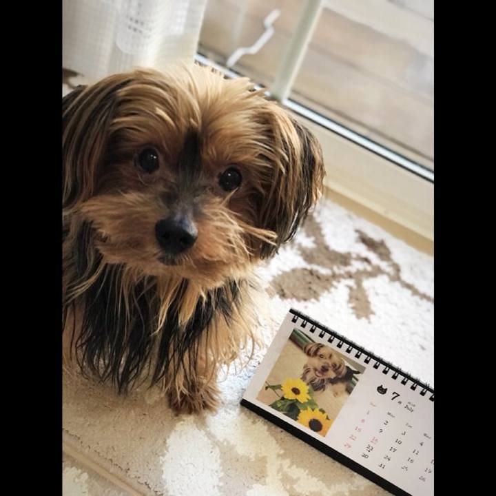 7b2e277b 4f41 42cc a4a3 2f46e0699b98 1530398228997