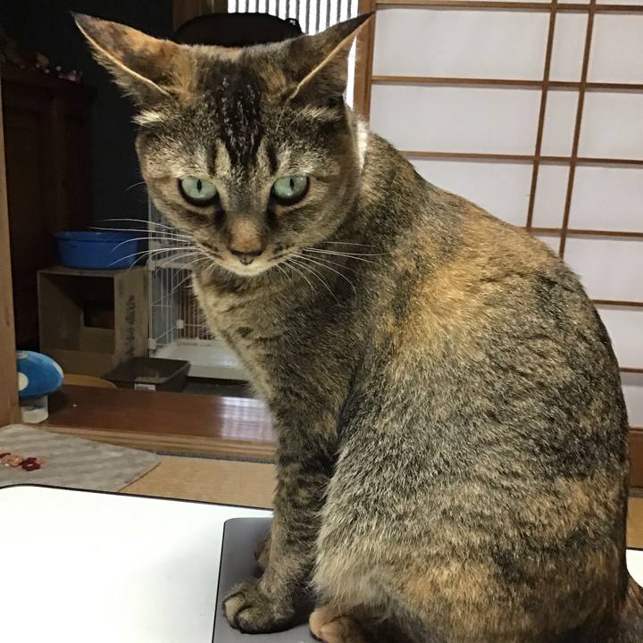 7b2e36db 843b 4e9a 8514 218e5efd71cc 1655968568940