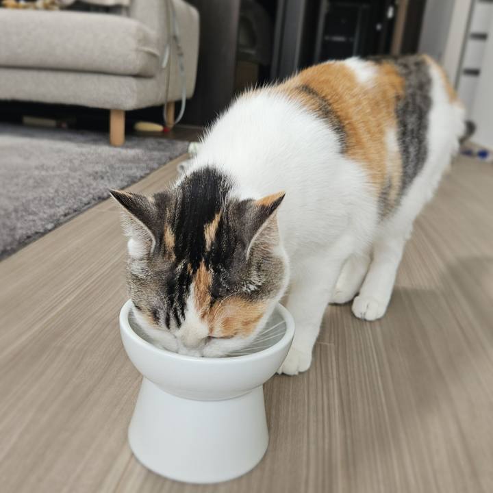 7b2e552e d6f2 487a 8045 11641432a1b7 1765018921470