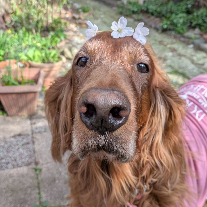 7b2e80cc fbd0 459b 996f ea8fe708c22a 1776326230402