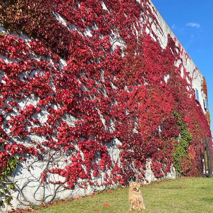 7b2e9f04 269c 439e b335 4c58ee25db8e 1633742097447