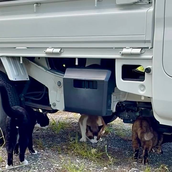 7b2eb1f6 488a 4b3a 80cb 0e0025474c1f 1757145116586