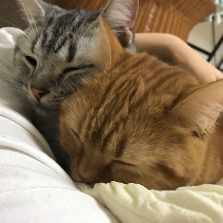 7b2ec60f 0b44 4240 8fb0 c949997feb51 1511822286570