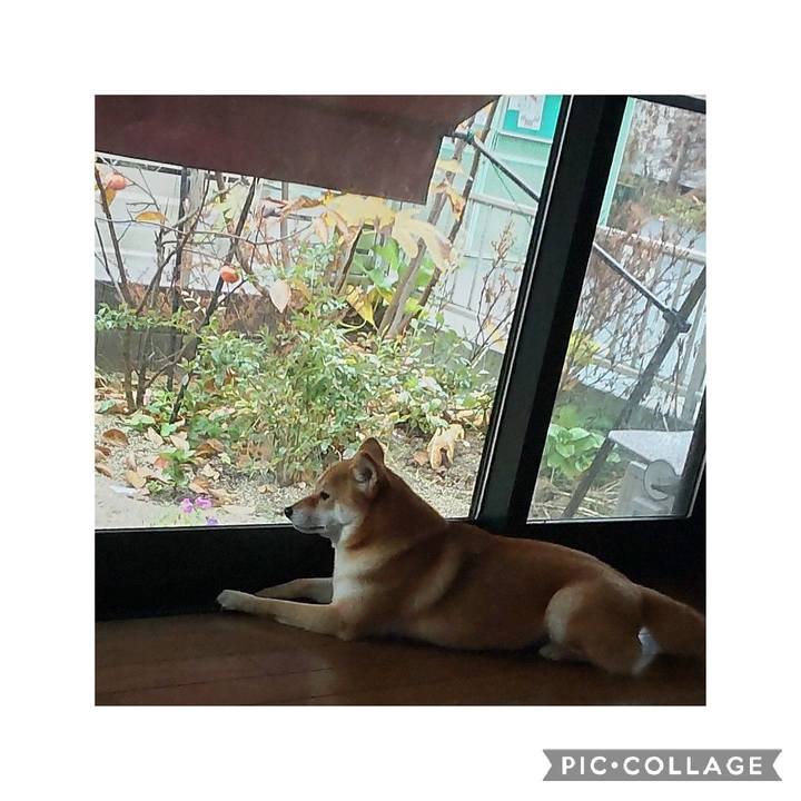 7b2edcca 7def 4351 b5d5 9be7a836a713 1669186845698