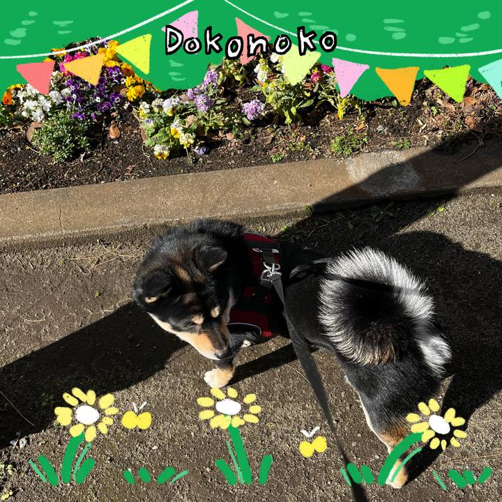 7b2f17aa 31bc 4da3 9177 529308440d20 1711375795734