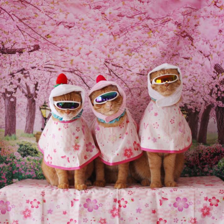 7b2f2446 d052 4309 9ca3 760d483d3bef 1741506664436