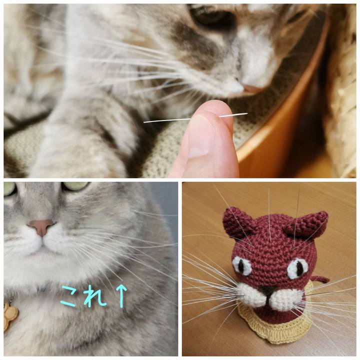 7b2f2d29 9273 4f4f b7dc 07262e0837ed 1631282275484