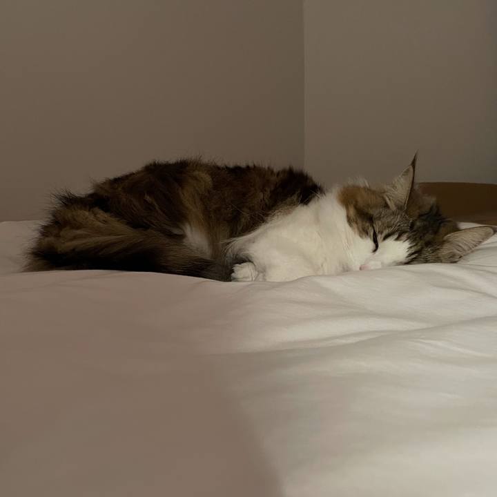 7b2f346c c7db 44b5 9f4d 8219932abf48 1677768710855