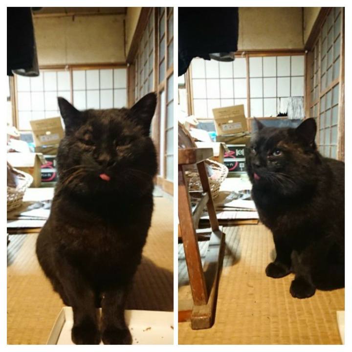 7b2f3baf 0b56 4193 a941 5b7752119ada 1616585615731