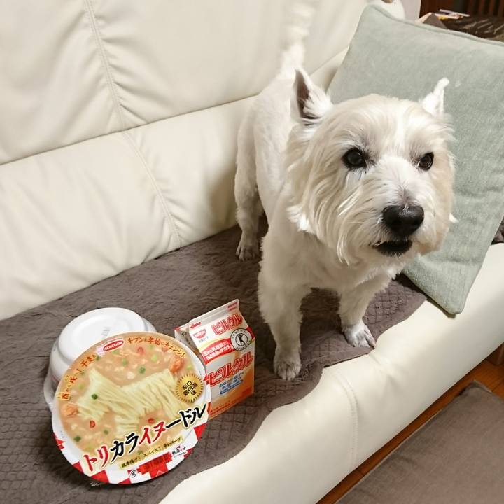 7b2f3c32 2ba9 48aa 811f d3d734d7371f 1516359938289