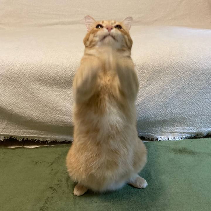 7b2f5227 1930 4216 aa74 22478899853c 1765889338451