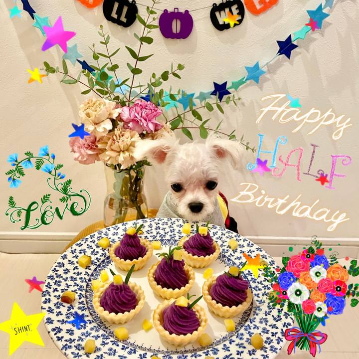 7b2f7489 d94e 45a9 9e66 b5f147739da4 1635386746009