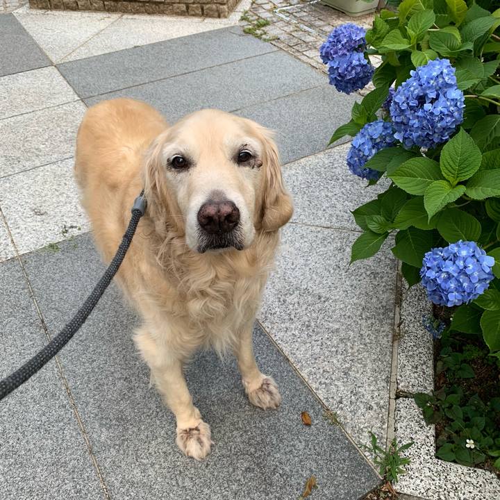 7b2f7b48 044a 476d acfb fef3b2317aff 1559215279228