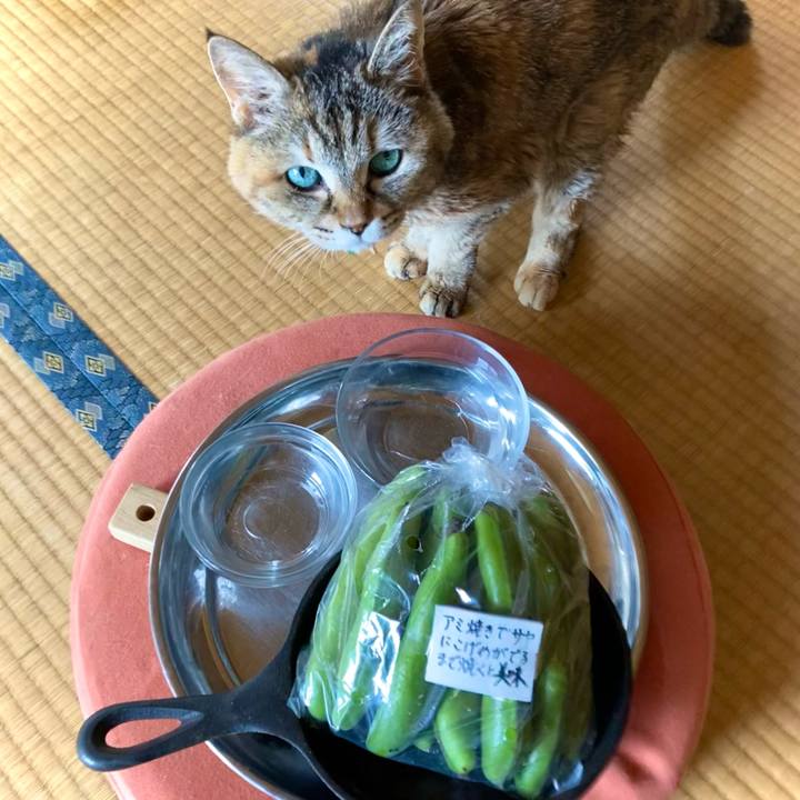 7b2f86df 834c 4587 9344 4ba176254534 1624242125369