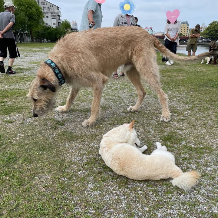 7b2f8a41 f14b 491d 8e6c ac071875c0b0 1652008446005