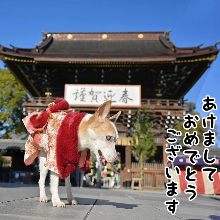 7b2fb26d 1c92 444e a208 a76e05bf0fe3 1767193956274