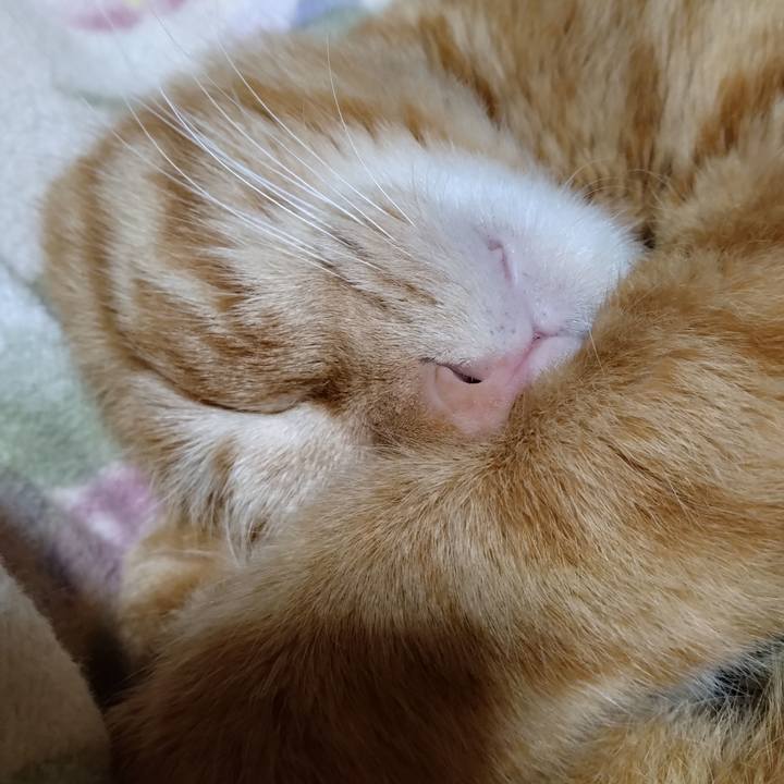 7b3001d7 9ed3 47ae a377 d920c343d825 1674050676671