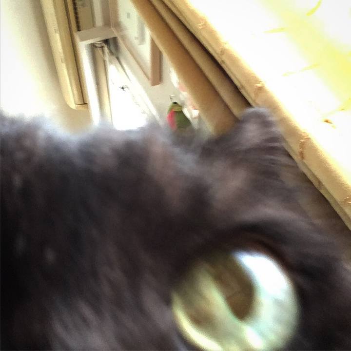 7b3004f4 f4ae 4e17 ae35 fd74e527eea2 1531378517162