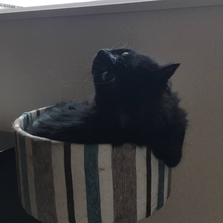 7b300f91 1bee 48b6 a93d e91dc7b6e515 1534401547763