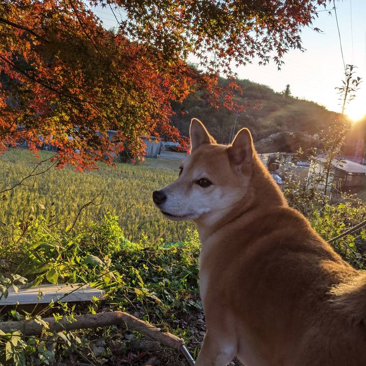 7b30144d 7eb5 46f1 b140 216ada674265 1607728390146