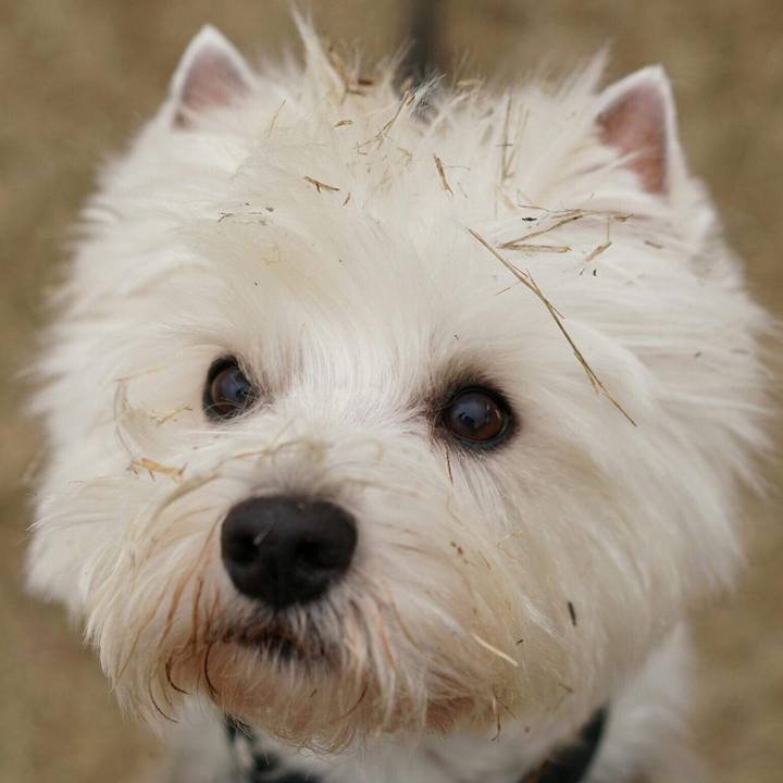 7b303916 f41c 4b9d a937 94a802d6be85 1520896229956