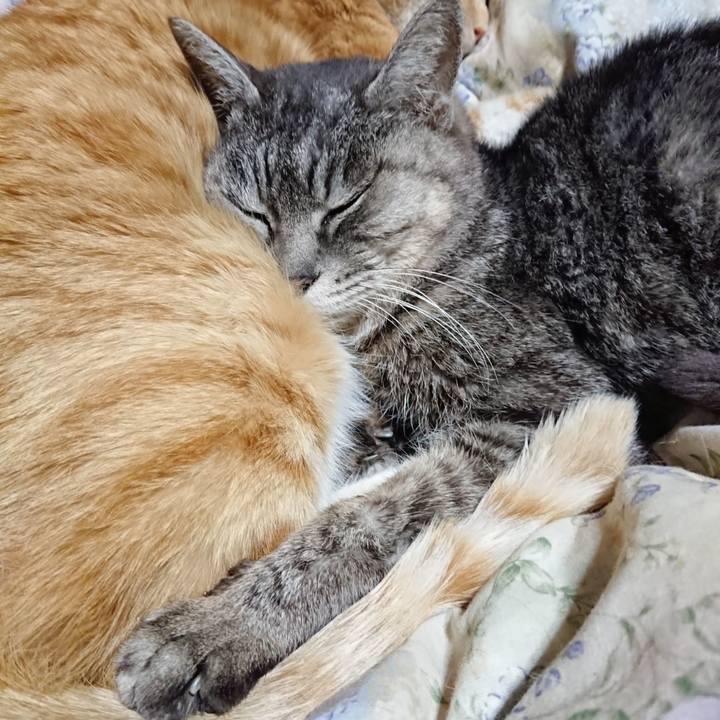 7b3047e6 75a3 44f9 8000 99d6d78881f0 1582460720449