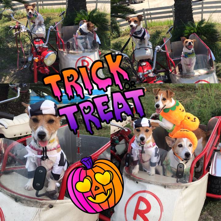 7b304d3d b005 4999 99e2 34a4ea76019f 1572573979120