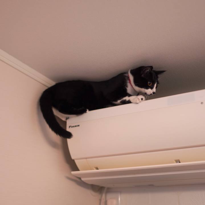 7b30737a 7d22 4cc9 a17a 971a5d1c1329 1591450221008