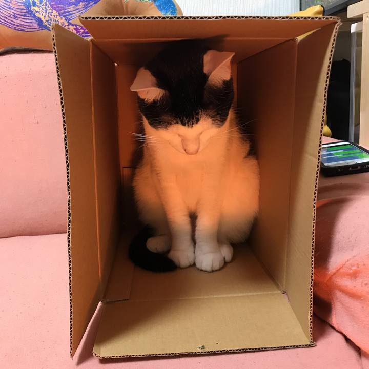 7b3075db 98d4 438d 914b ea0604f6ef4f 1518685864022