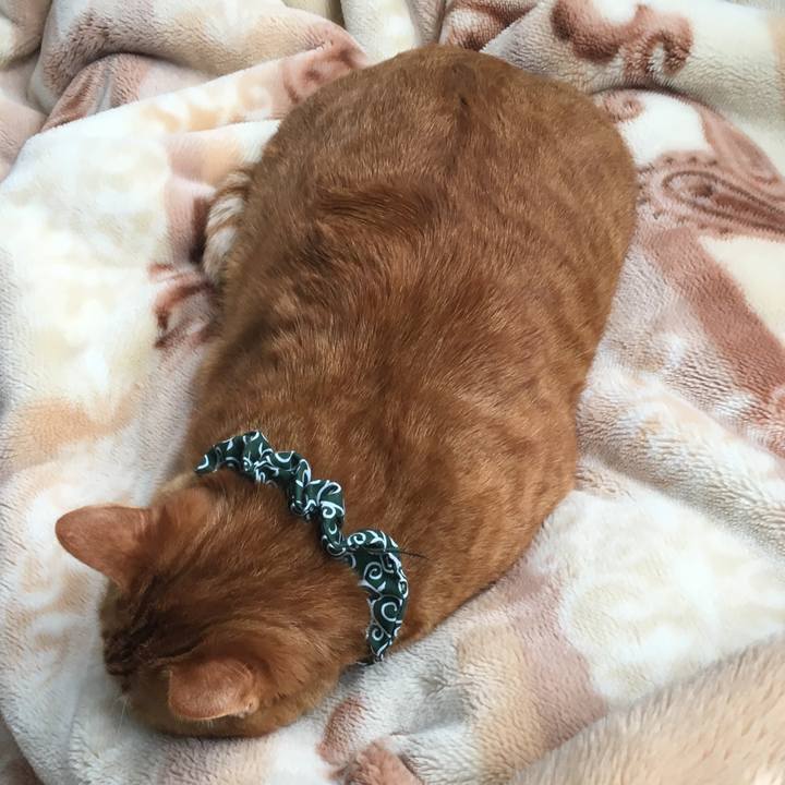 7b30862b cacc 4ac6 9b9b 3f309c9d5701 1553378966315