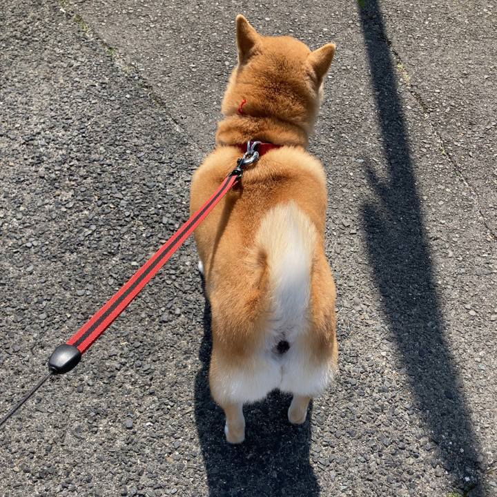 7b30a548 7096 423e 9bfe 1d35cb491a0d 1616487372878