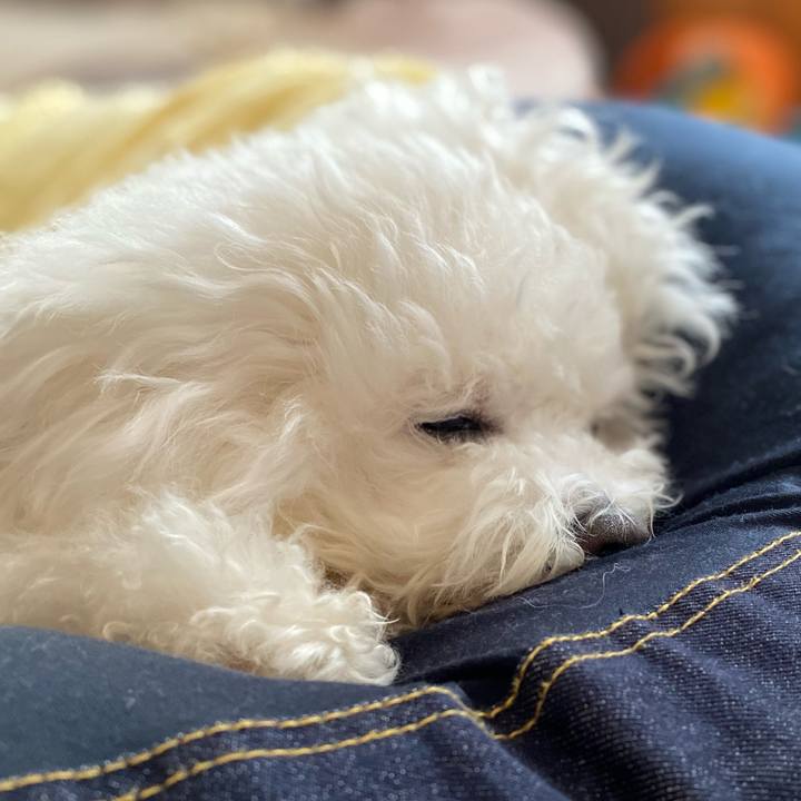 7b30b8bb 95bb 4c72 8640 659178e47c99 1609478800867